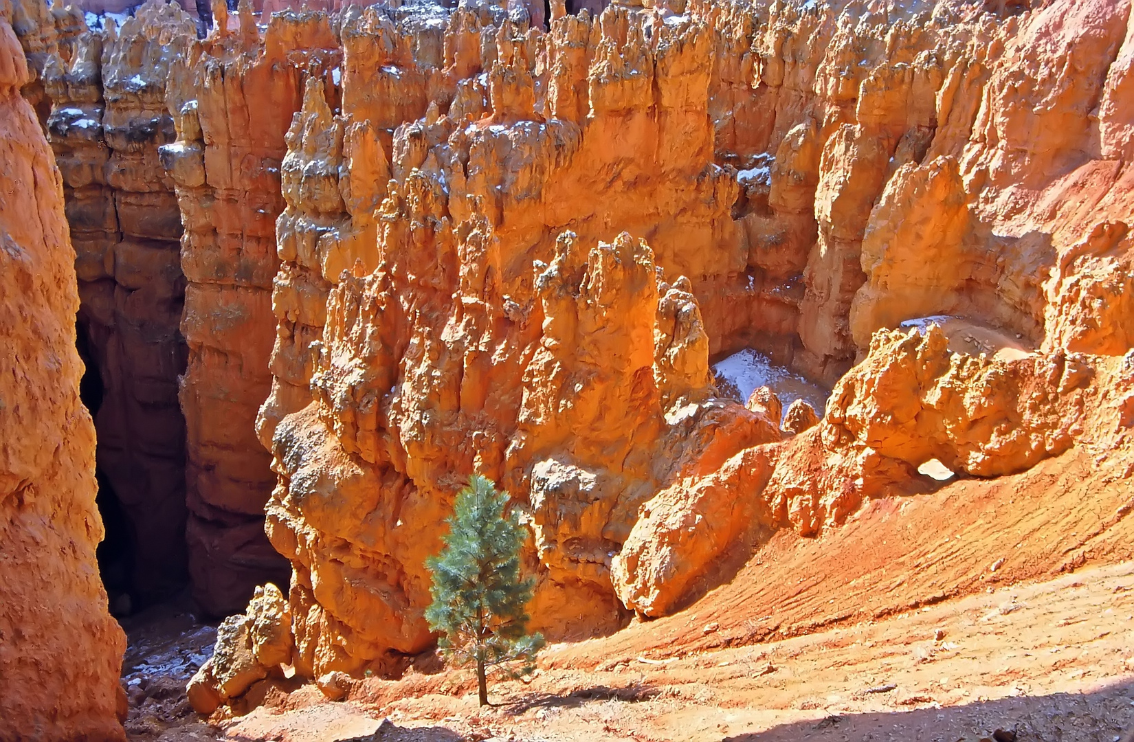 Im Bryce Canyon