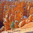 Im Bryce Canyon