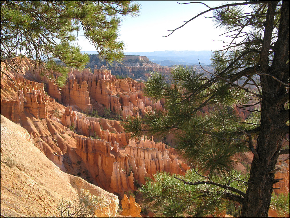 Im Bryce Canyon