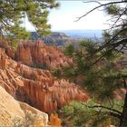 Im Bryce Canyon