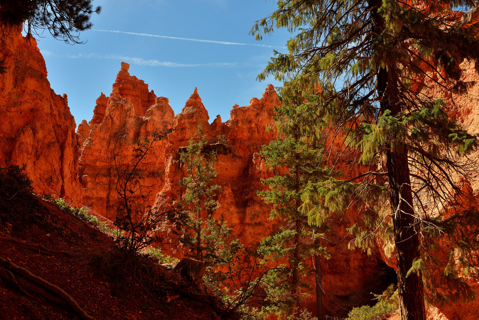 Im Bryce Canyon 1