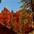 Im Bryce Canyon 1