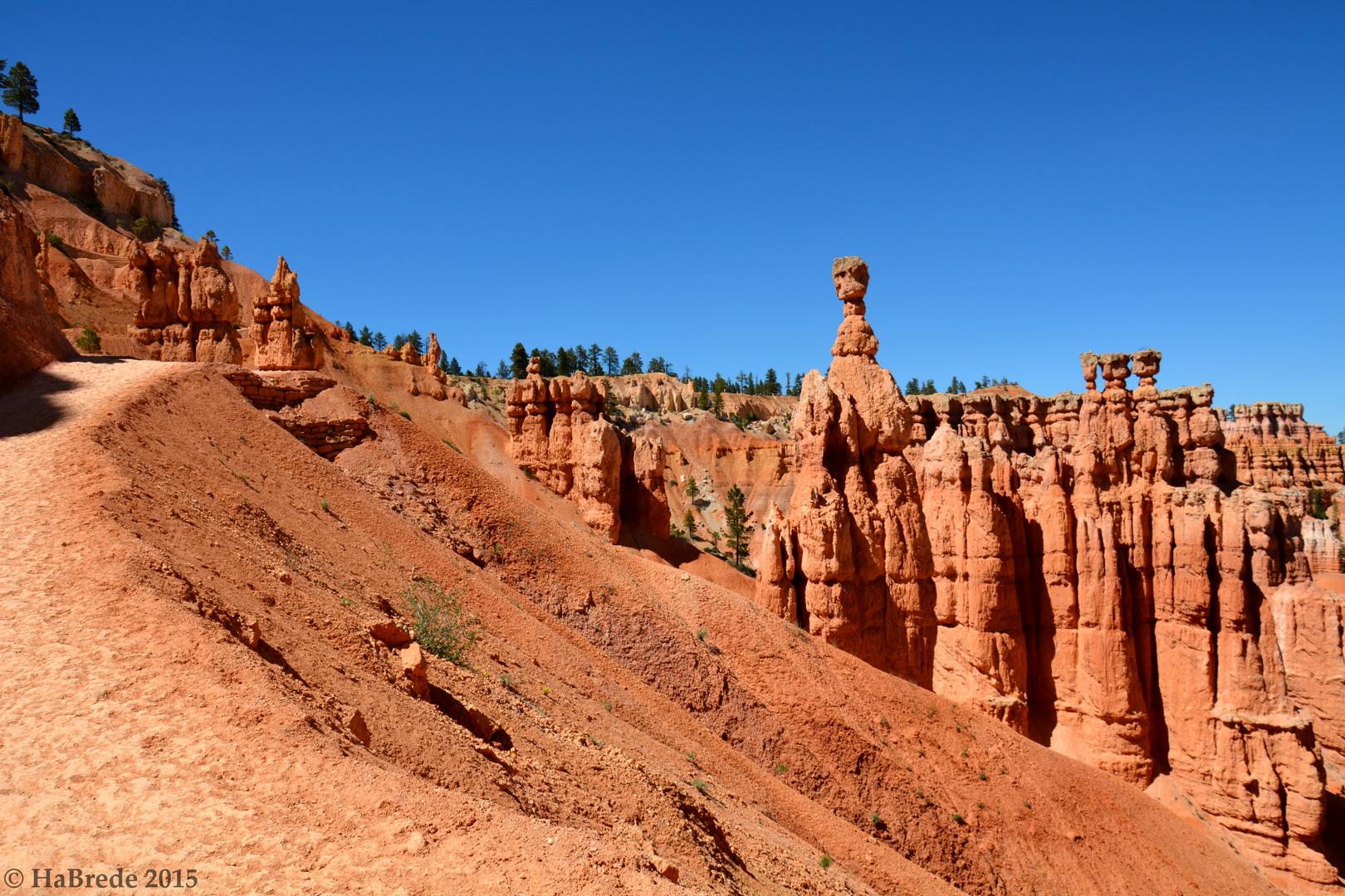 Im Bryce Canyon 1