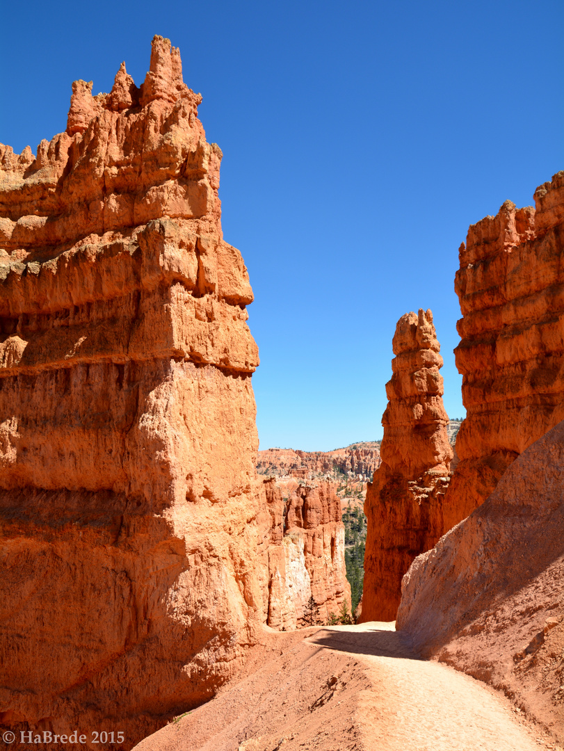 Im Bryce Canyon 2