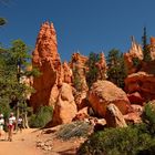 Im Bryce Canyon 3