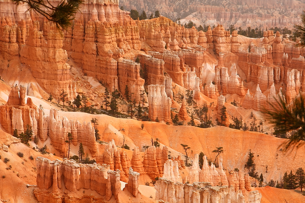 Im Bryce Canyon