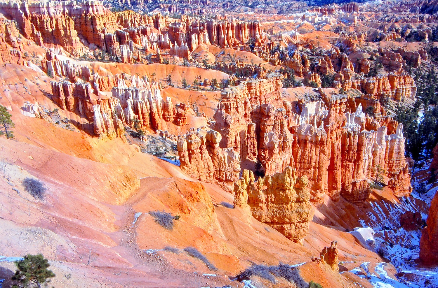 ... im Bryce Canyon ...