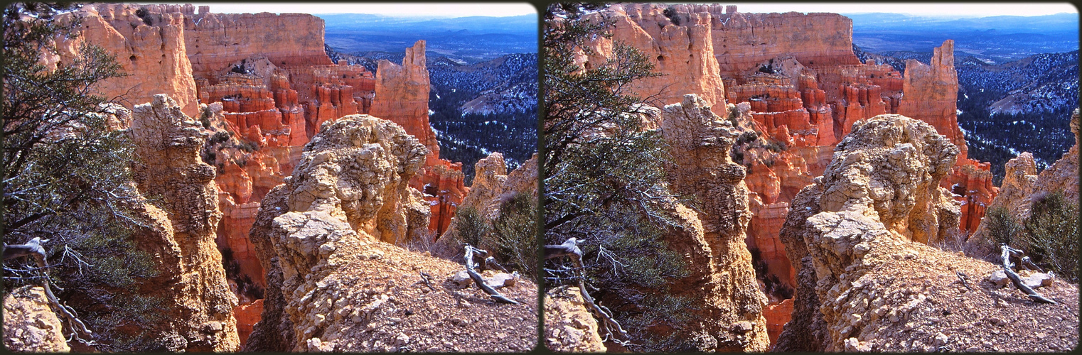 Im Bryce Canyon