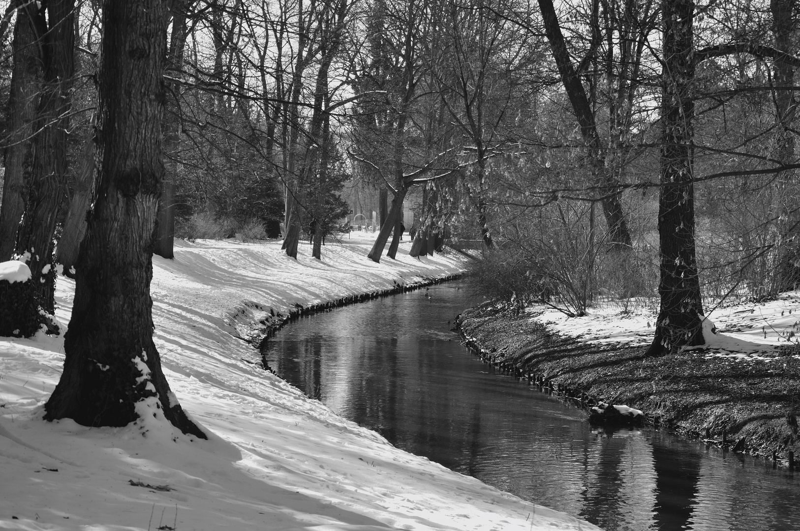 Im Bürgerpark