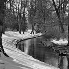 Im Bürgerpark