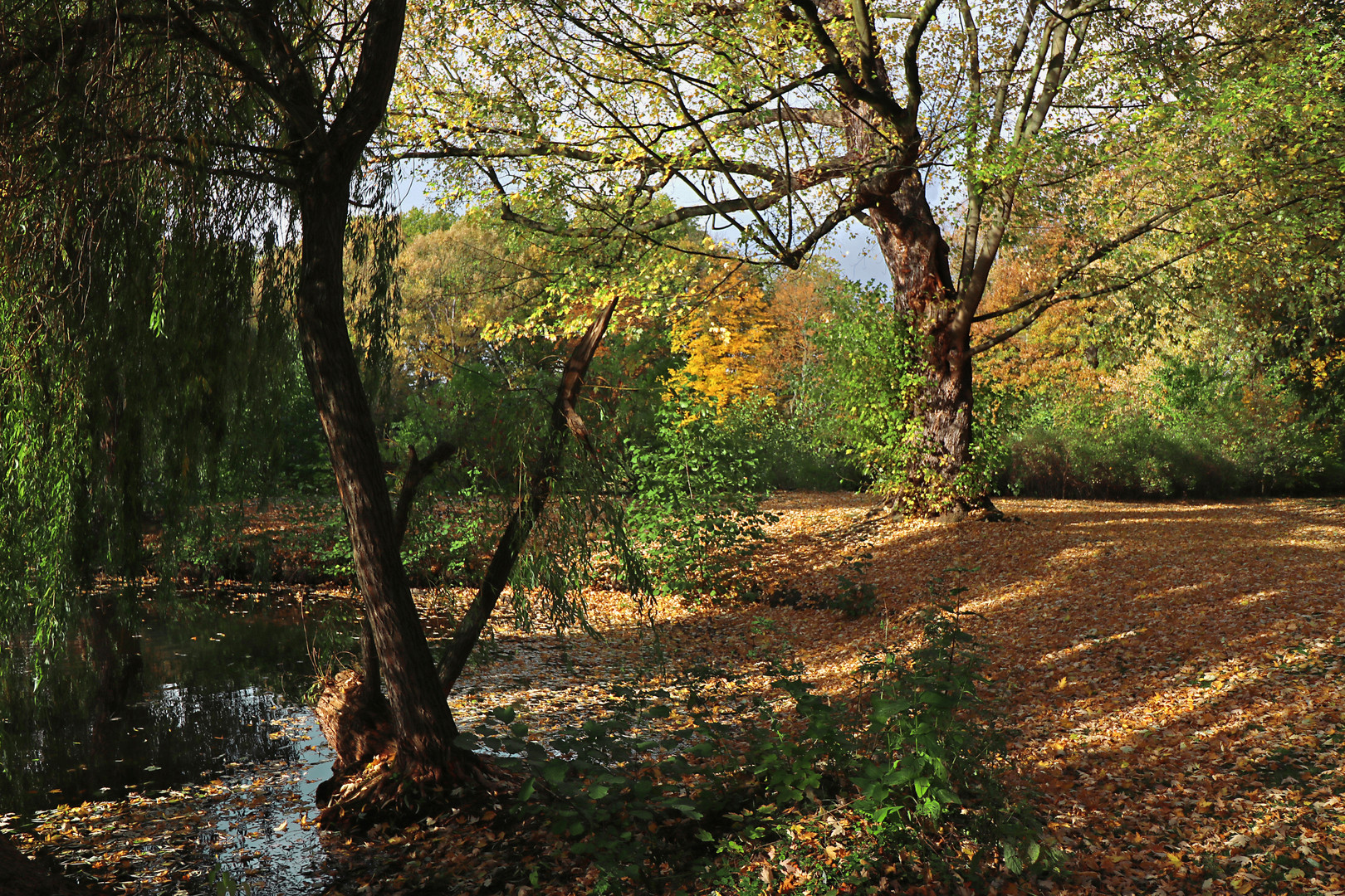 Im Bürgerpark