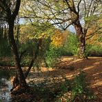 Im Bürgerpark