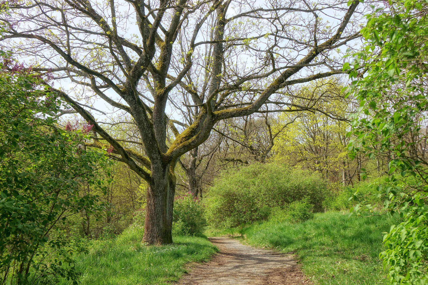 im Bürgerpark Theresienstein ...