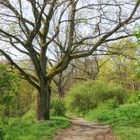 im Bürgerpark Theresienstein ...