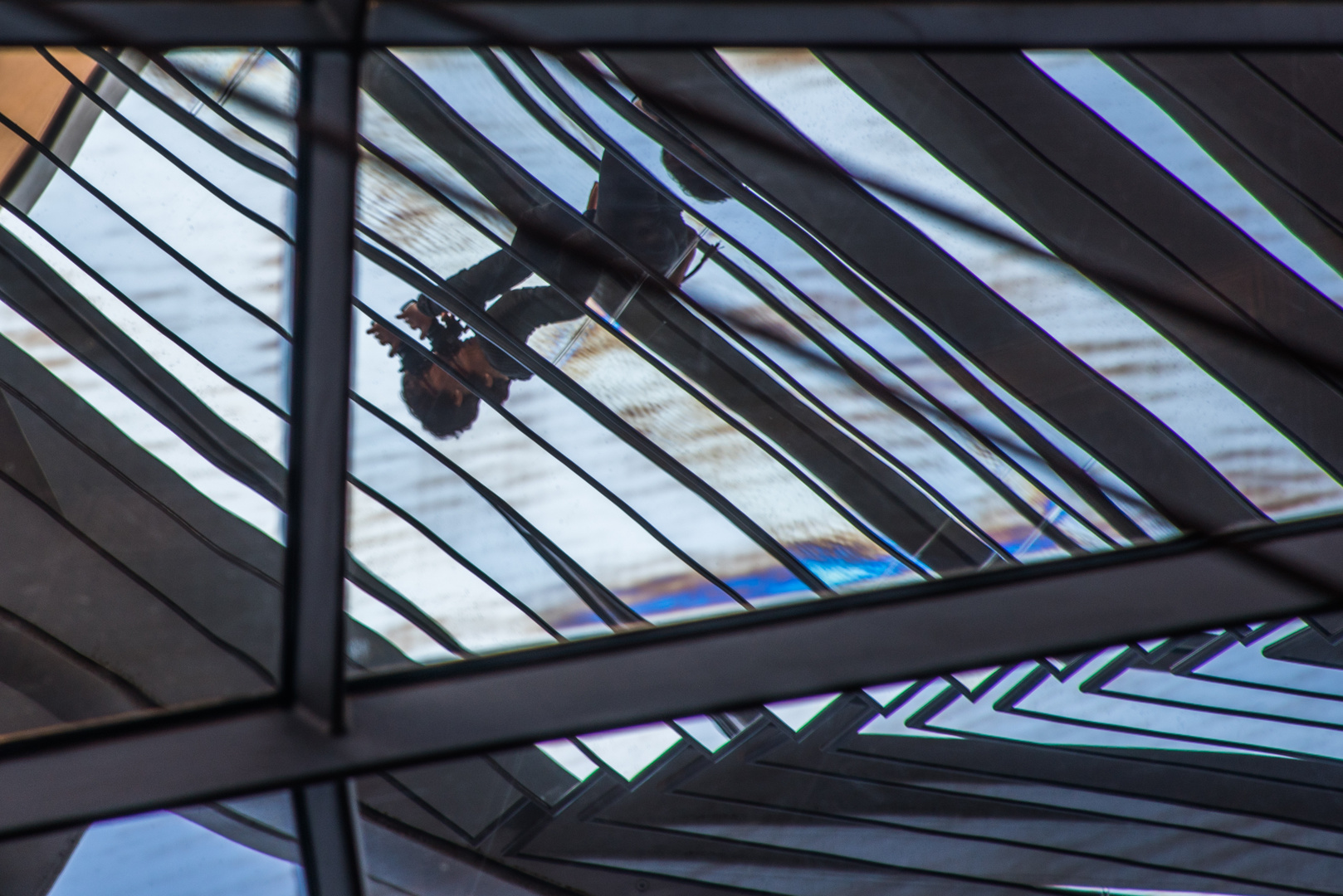 im Bundestag auf der Spiegelsäule gen Kuppel