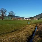 "Im Burgberger Moor mit Blick auf Agathazell"