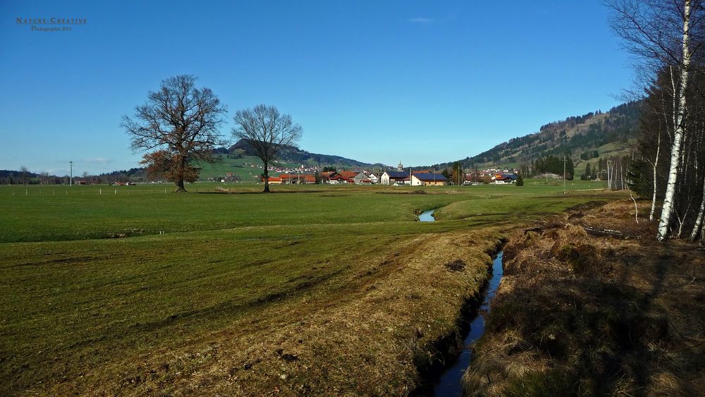 "Im Burgberger Moor mit Blick auf Agathazell"