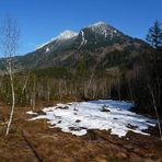 "Im Burgberger Moor mit Blick auf den Grünten"