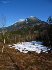 "Im Burgberger Moor mit Blick auf den Grünten"