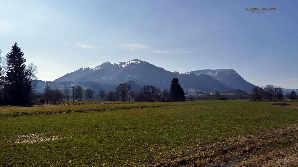 "Im Burgberger Moor mit Blick auf den Mittag und Immenstädter Hörnle"