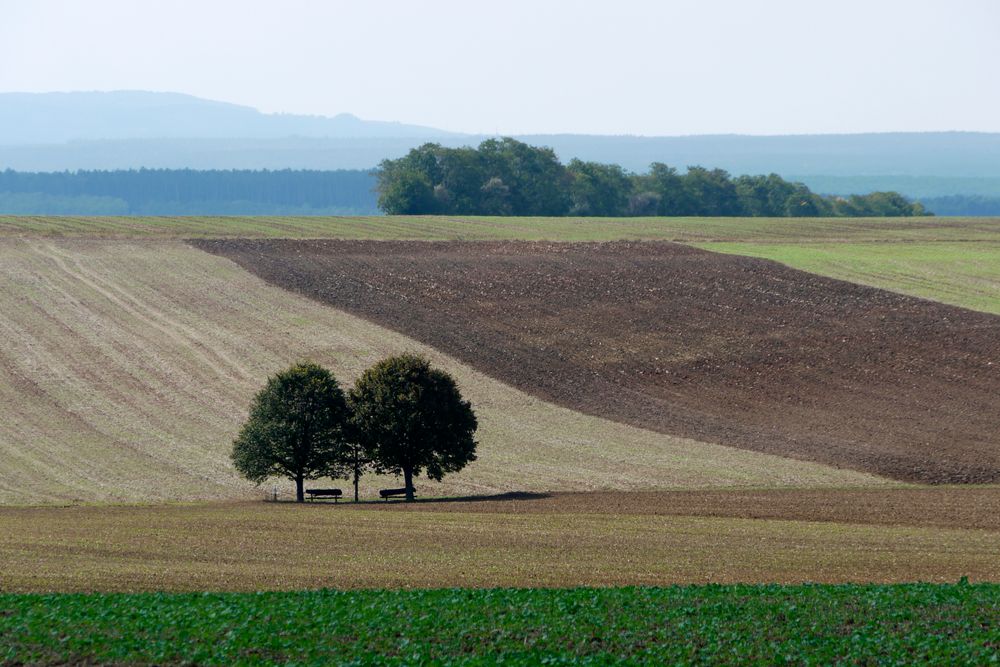 Im Burgenland