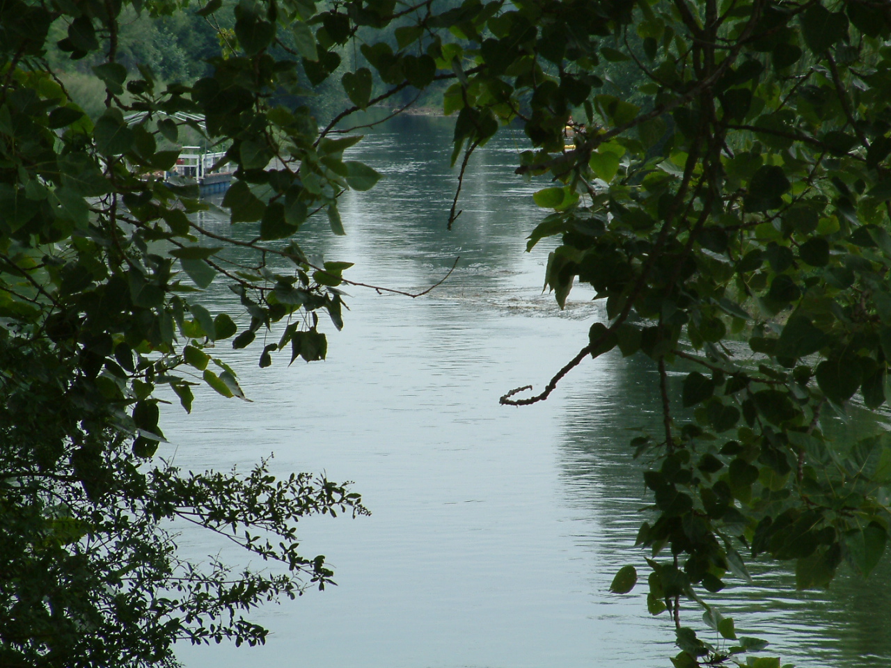 Im Burgenland ein naturbelassener Fluss - die Unstrut