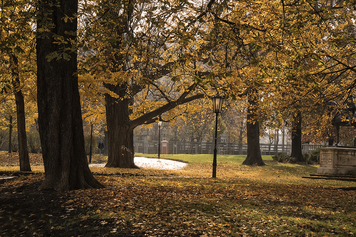 Im Burggarten