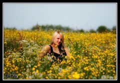 Im Butterblumen Meer