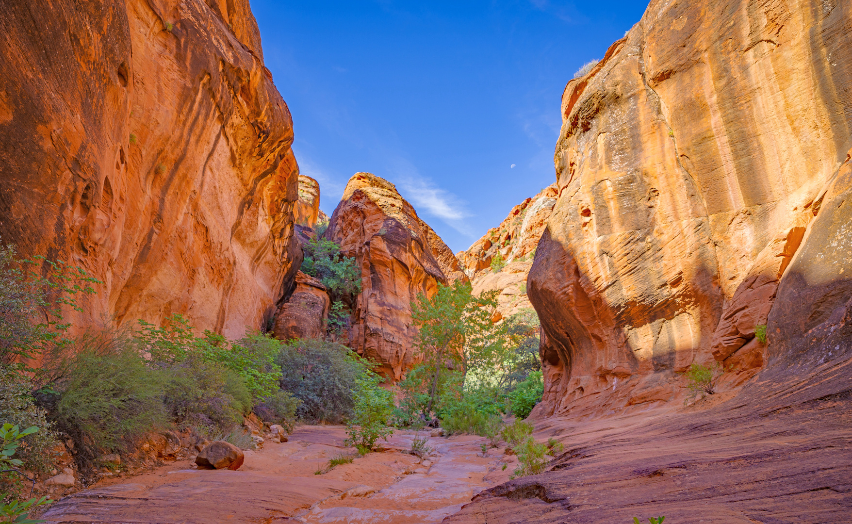 Im Canyon auf dem Red Cliff Trail