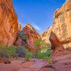 Im Canyon auf dem Red Cliff Trail