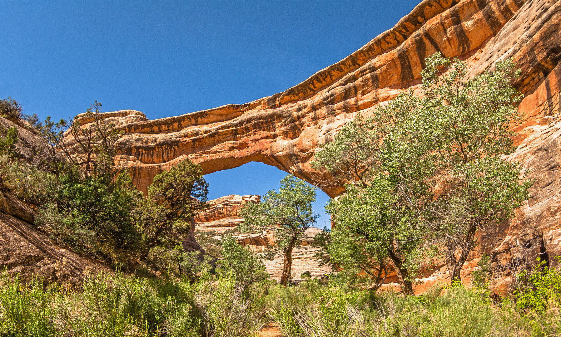 Im Canyon bei der Sipapu-Bridge