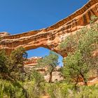 Im Canyon bei der Sipapu-Bridge