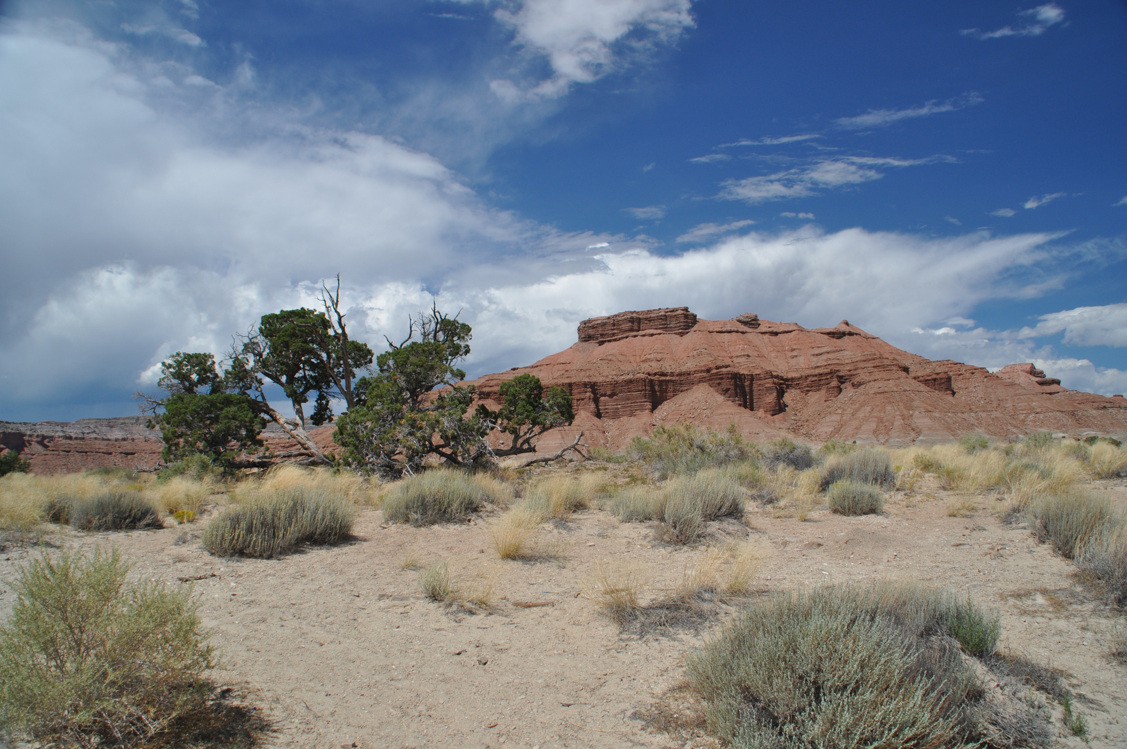 ...im Canyonlands Nationalpark ...bei Moab / Utah