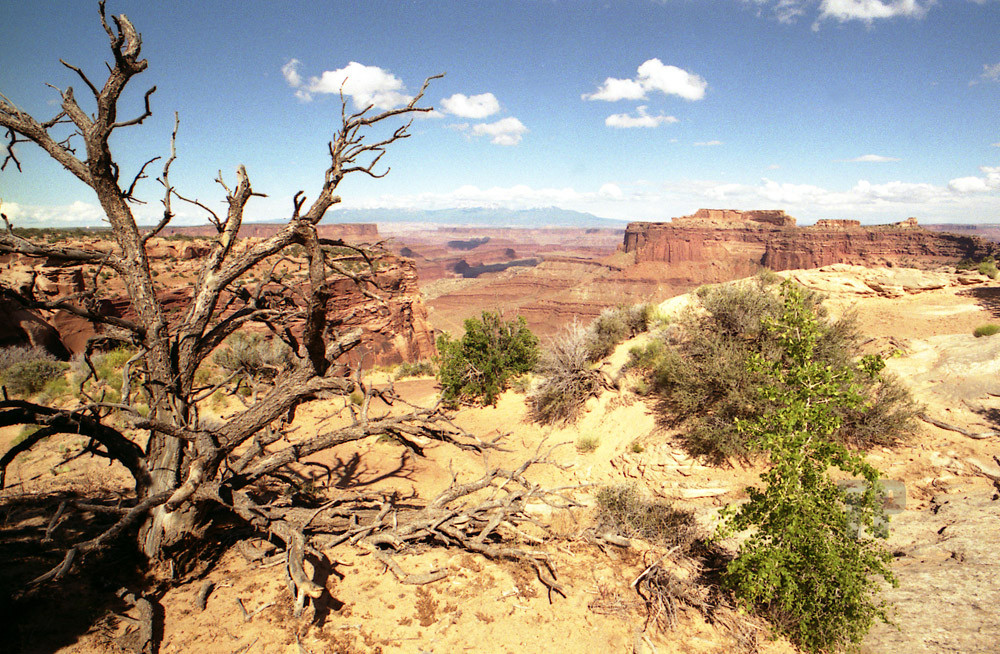 im Canyonlands N.P. 1