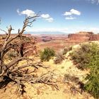 im Canyonlands N.P. 1