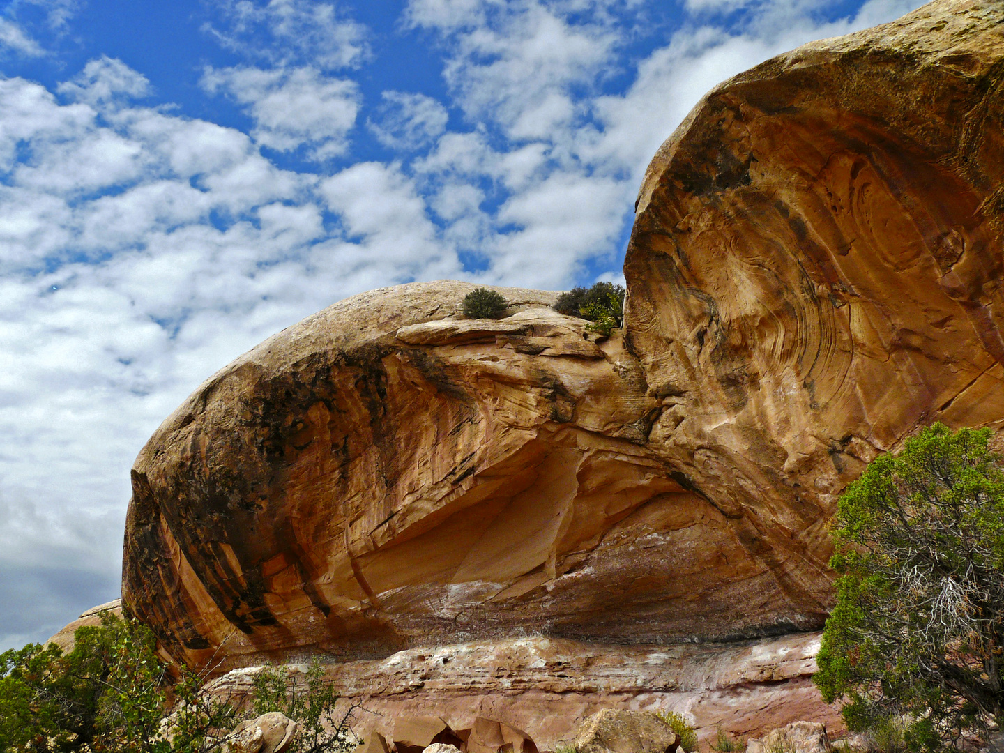 Im Canyonlands NP