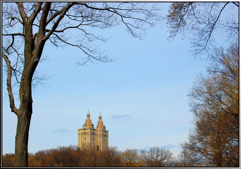 Im Central Park, NY