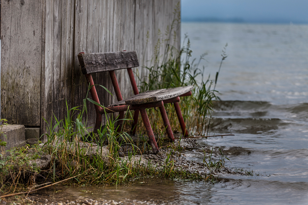 im Chiemseewasser