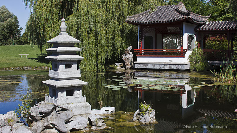 IM CHINESISCHEN GARTEN