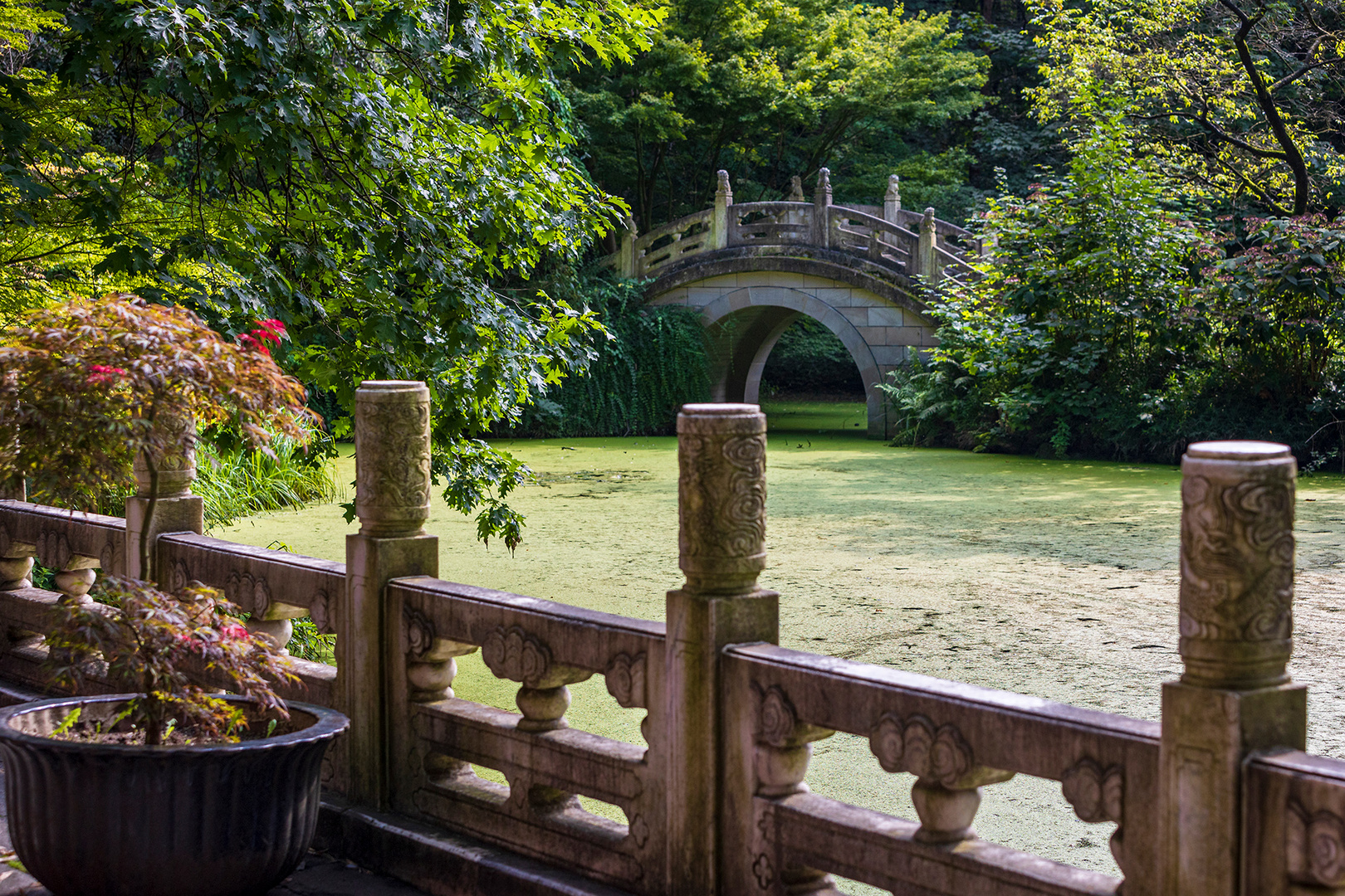 Im Chinesischen Garten