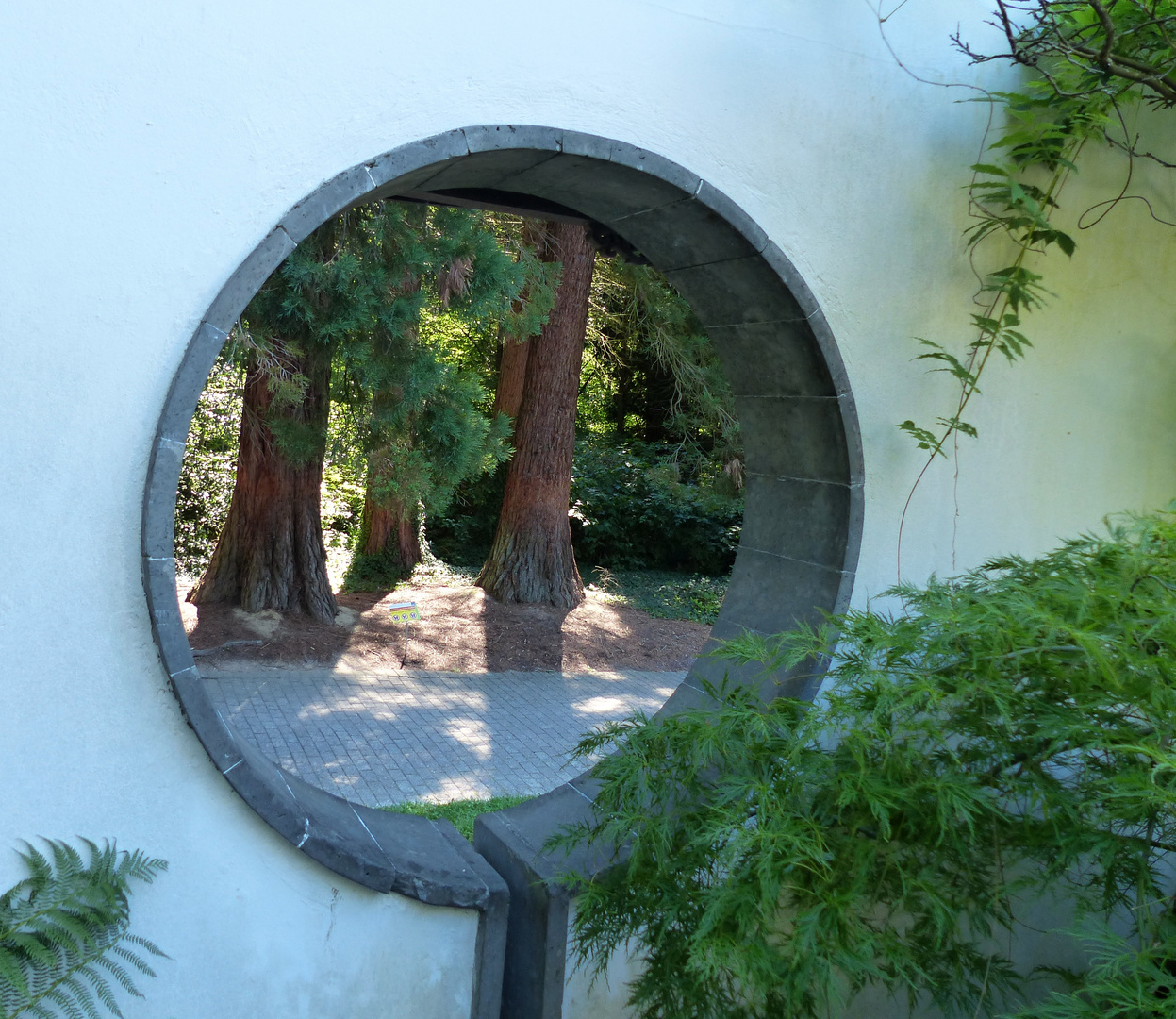 im Chinesischen Garten