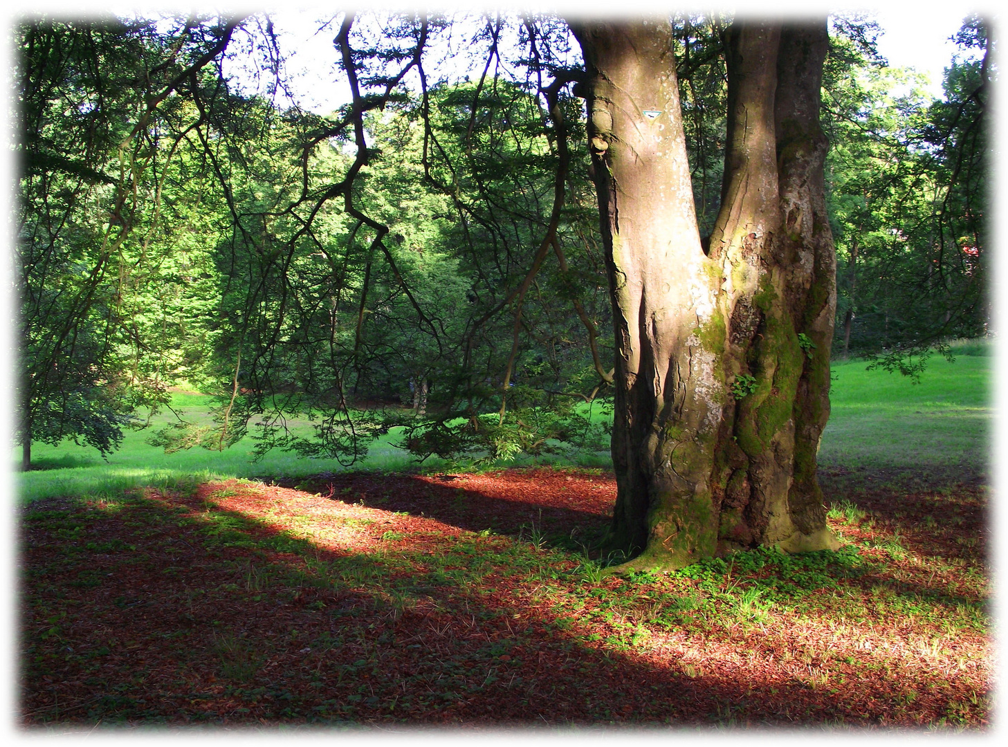 Im Coburger Hofgarten