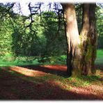 Im Coburger Hofgarten