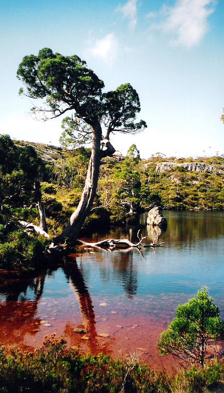 Im Cradle Mountain-Lake St Clair National Park