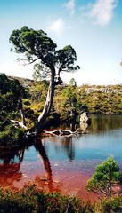 Im Cradle Mountain-Lake St Clair National Park