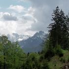 Im Cumberland Wildpark Grünau Österreich .