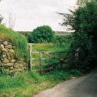 Im Dartmoor ... | 2007