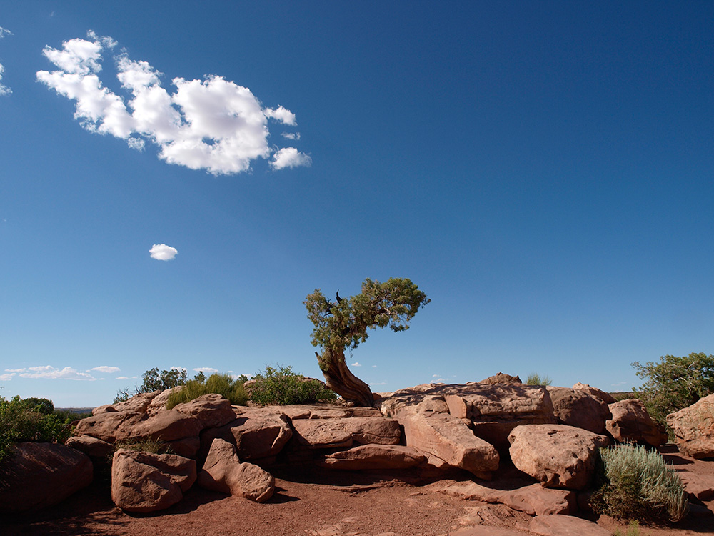 Im Dead Horse Point State Park