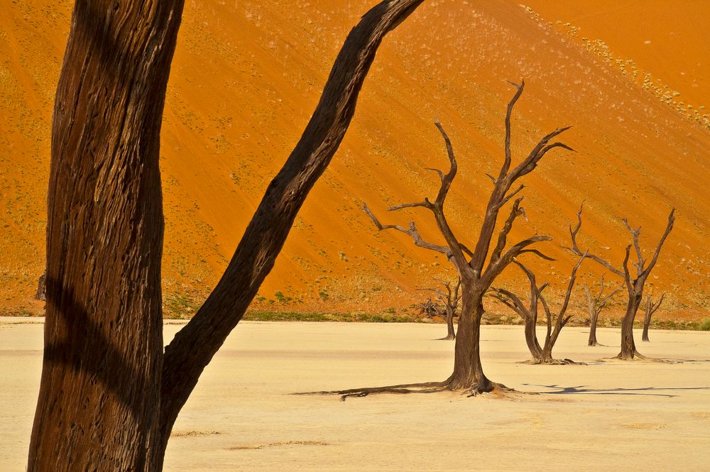 Im Dead Vlei - 1