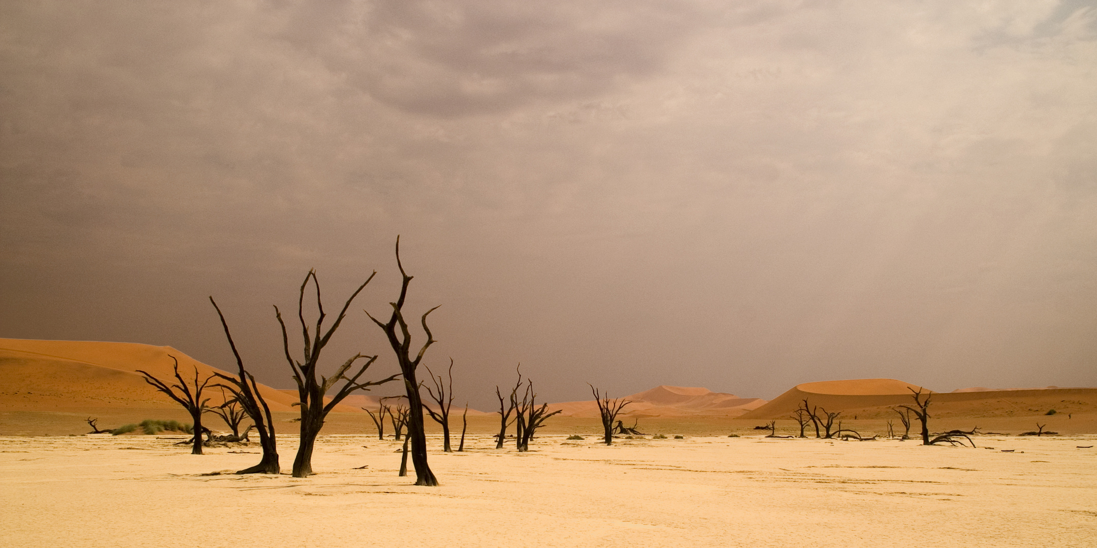 Im Dead Vlei / 2006